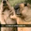 Shitpost 9