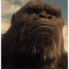 Kong 7