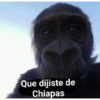 Shitpost 2 XD 14
