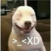 > <XD