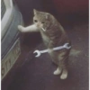 Gatos tristes 20