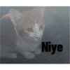 Niye