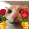 Animais com Emoji de Flor 🌹 7