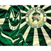 ESCOLA SAMBA MANCHA FALA CELE VERDE