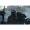 Kong 5
