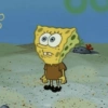 Bob esponja 🧽 5