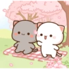 Peach and Goma Wallpaper 28