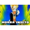 SBP MORRA INSETO