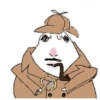 Hamaster tik tok viral 13