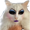 Gata de make memes 13