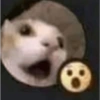 ShitPost 9