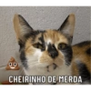 00 CHEIRINHO DE MERDA