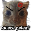 Quiere pelea?