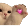 Kucing lucu 10