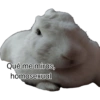 Pinguino 14