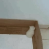 Cat & dog 2# 26