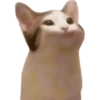 Kucing lucu 28