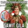 WASPADA TERKENA PENYAKIT @sedseda SAWIT GILA