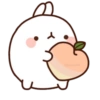 @ballolet88