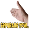 SEPURANE YOW.CO