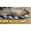 trank yo te cuido
