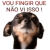 VOU FINGIR QUE NÃO VI ISSO !