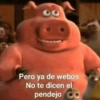 Estás bien pendejo 🥴 17