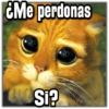 ¿Me perdonas Si? @ Wokwas