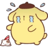 Pompompurin 16