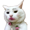 Gata de make memes 7
