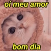 CUMPRIMENTOS FOFOS🥰 13