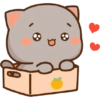Peach Goma CAJA ❤️ 12