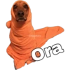 @baewhorx Ora