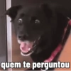 quem te perguntou