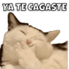 YA TE CAGASTE
