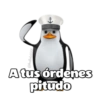 @ballolet888 A tus órdenes pitudo