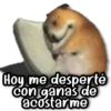 Hoy me desperté con ganas de acostarme