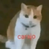 🚨RANDOM para ti 😎🫵🏻 8
