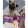 joder, otra vez a Ecovapor