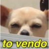 to vendo
