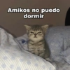 Amikos no puedo dormir @Harley Stickers