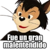 Fue un gran malentendido