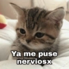 Ya me puse nerviosx @Harley_Stickers