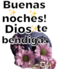 Milly S.R. ¡Dios te bendiga! 21