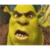 Shrek memes 11