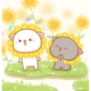 Peach and Goma Wallpaper 8