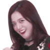 BlackPink 22