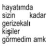 Brat 12