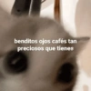 benditos ojos cafés tan preciosos que tienes