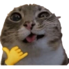 Kucing lucu 7